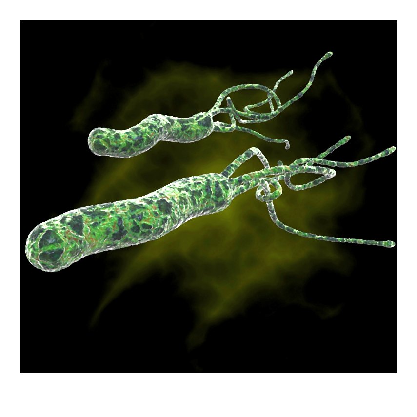 helicobacter_pylori-001-2014-10-06 _ 21_38_26-80